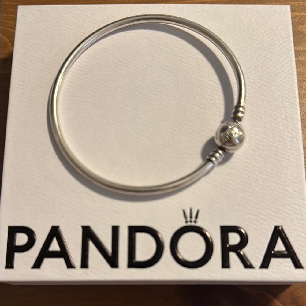 Pandora Silver Minimalist Bracelet